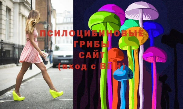 герыч Ладушкин