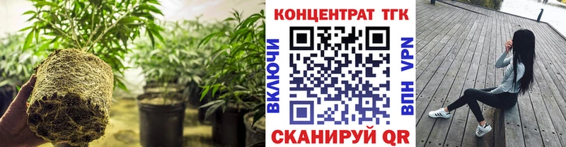 закладка  ОМГ ОМГ зеркало  ТГК концентрат  Карабаново 