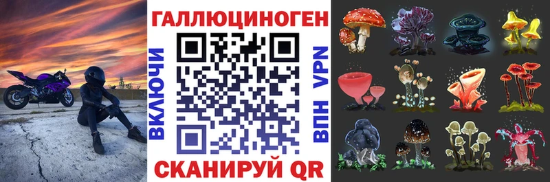купить наркотики сайты  Карабаново  Галлюциногенные грибы Psilocybe 